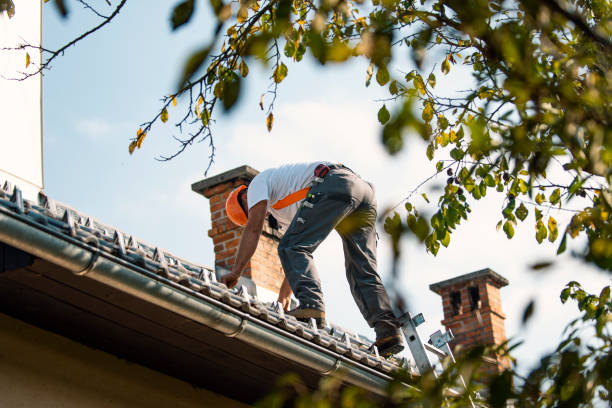 Best Roof Repair Services  in Mcrae Helena, GA