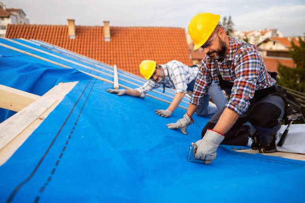 Best Roof Waterproofing Services  in Mcrae Helena, GA
