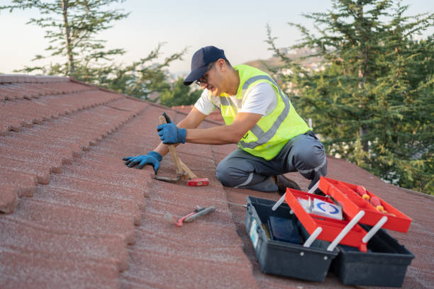 Roof Installation Near Me in Mcrae Helena, GA