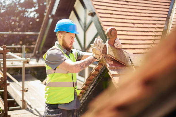 Professional Roofing Contractor in Mcrae Helena, GA