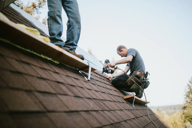 Best Gutter Installation and Roofing  in Mcrae Helena, GA